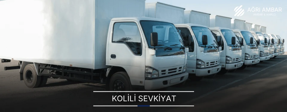 Ağrı Kolili Sevkiyat Ambar Firmaları