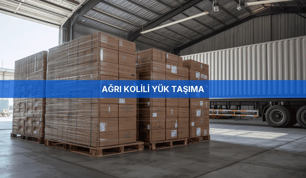 Ağrı Kolili Yük Taşıma